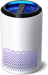 OMISOON Purificatore d'Aria per Allergie